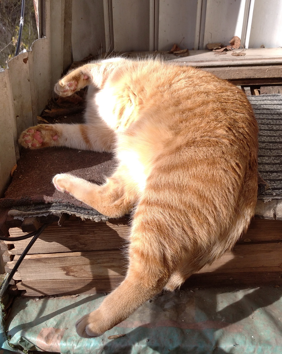 личное фото