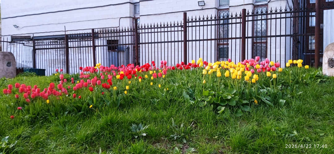 Успела захватить красоту до очередного похолодания