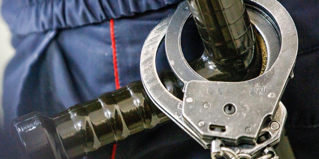 В Петербурге арестовали троих участников драки на Владимирском проспекте