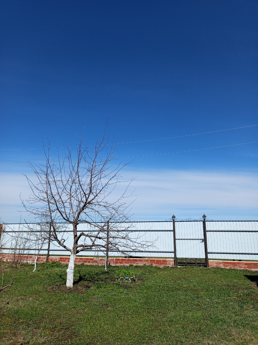 Небо такое глубокое, утонуть можно.