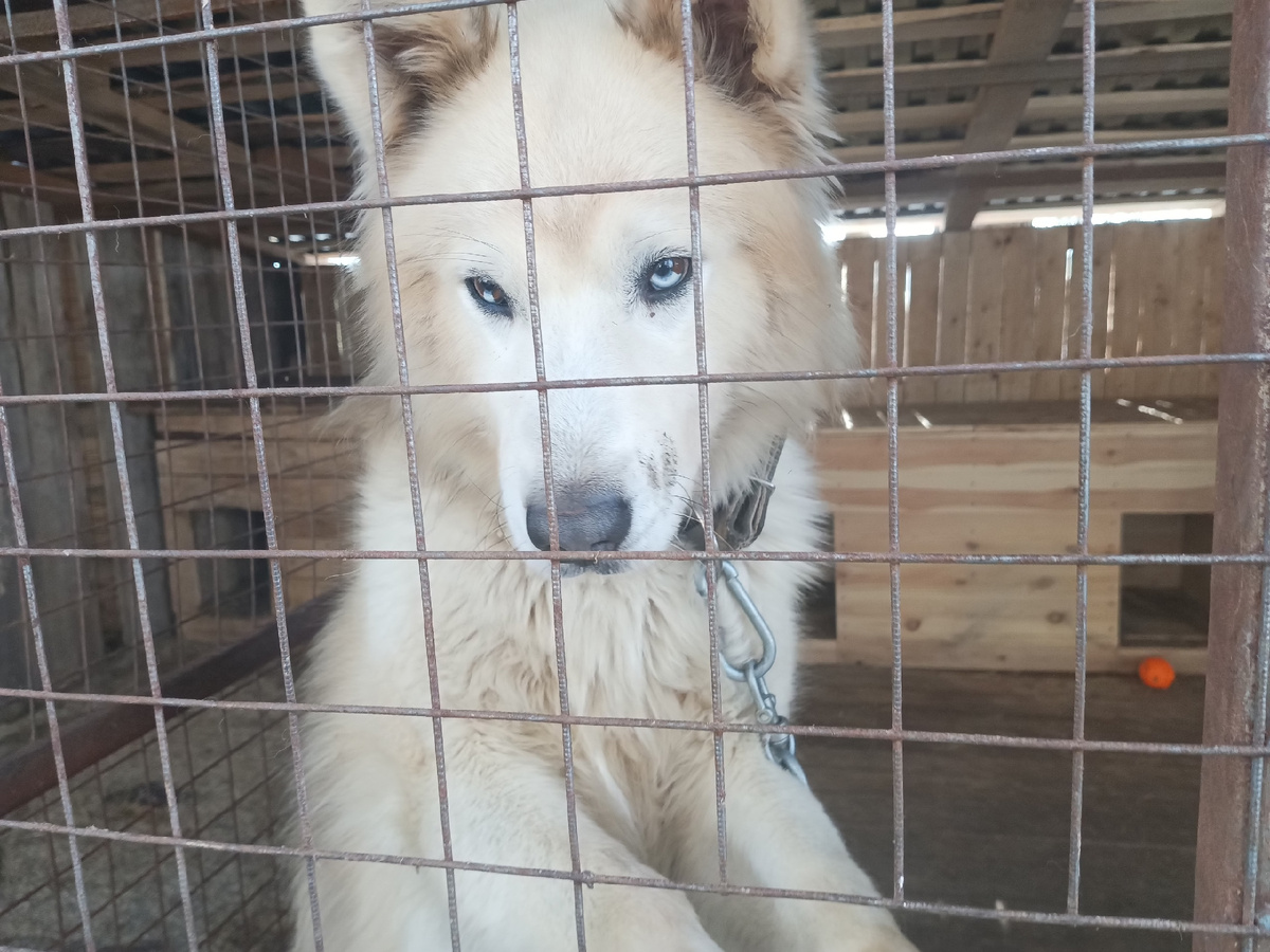 Как к тебе найти подход?