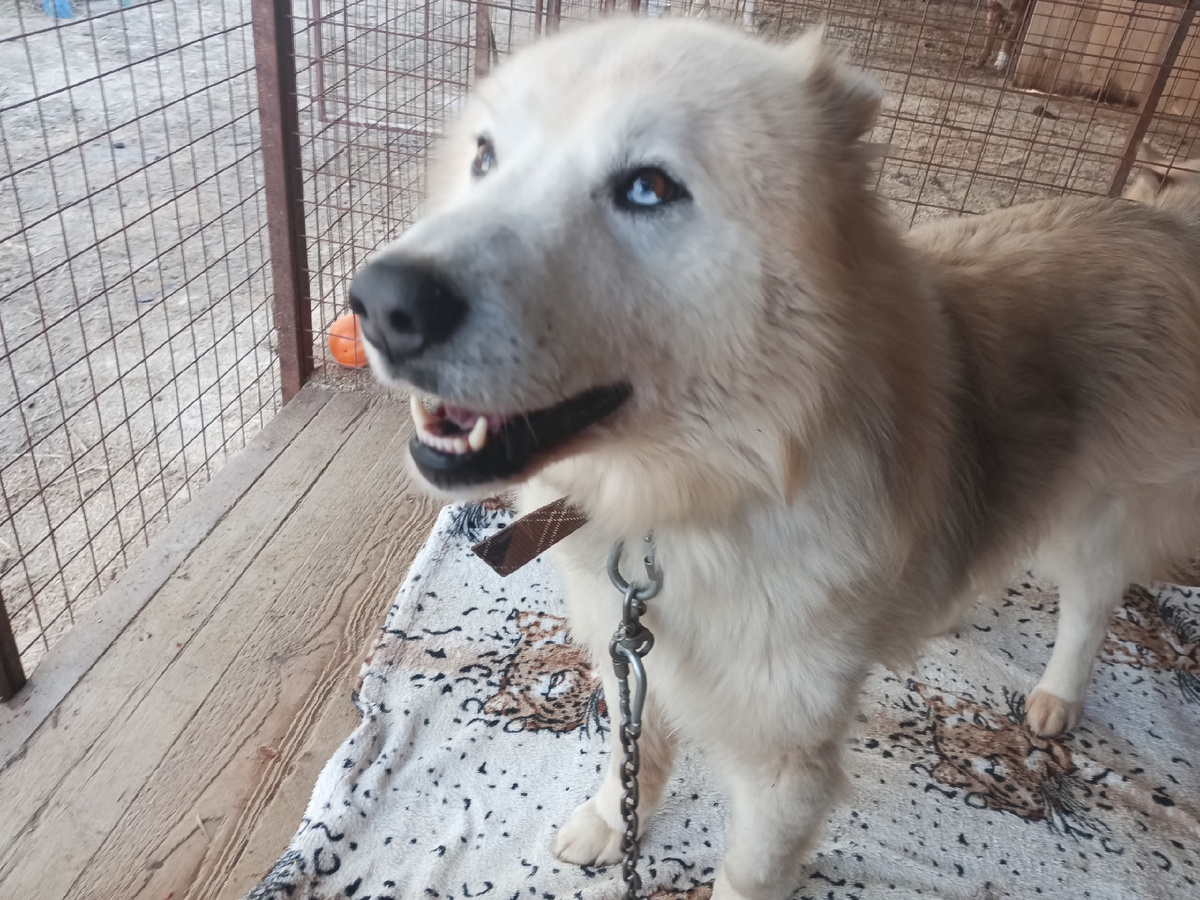 В вольере Космоса красота, порядок и чистота.