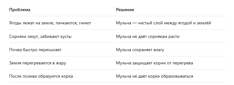 Зачем мульчировать клубнику