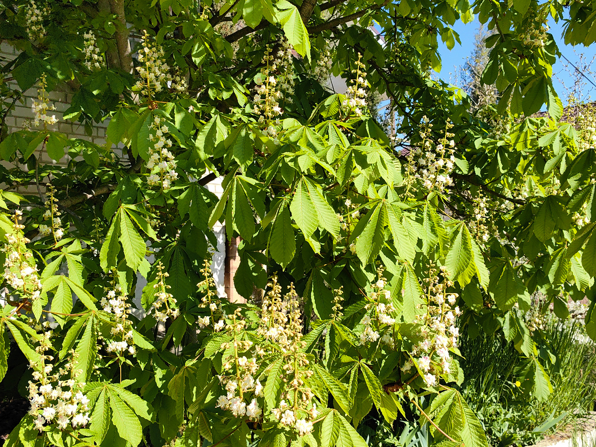 Фото автора канала