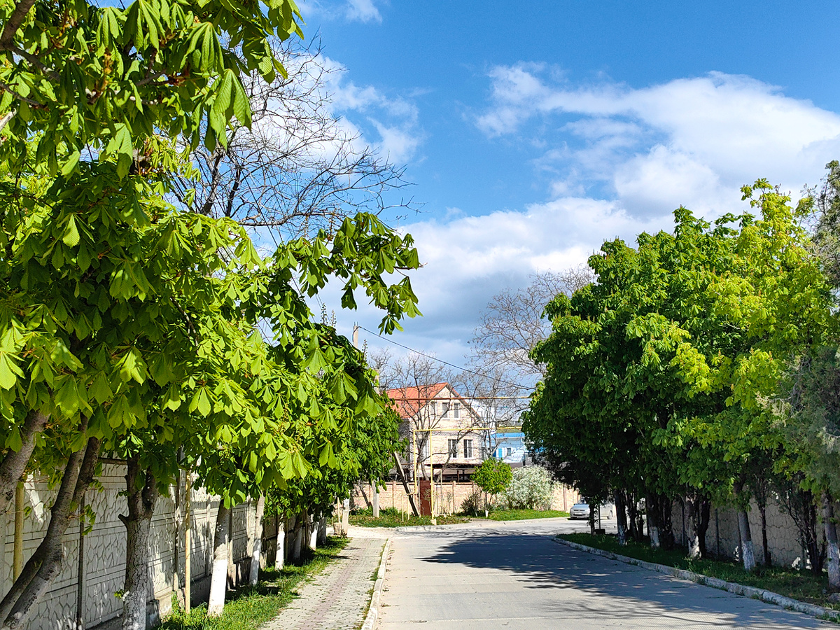 Фото автора канала