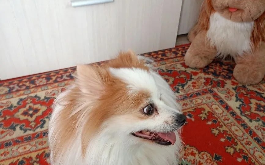 Привет от Тифани