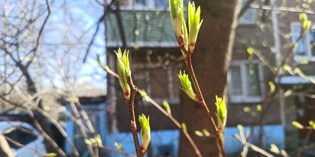 Владимирская область снова готовится к дождю и снегу