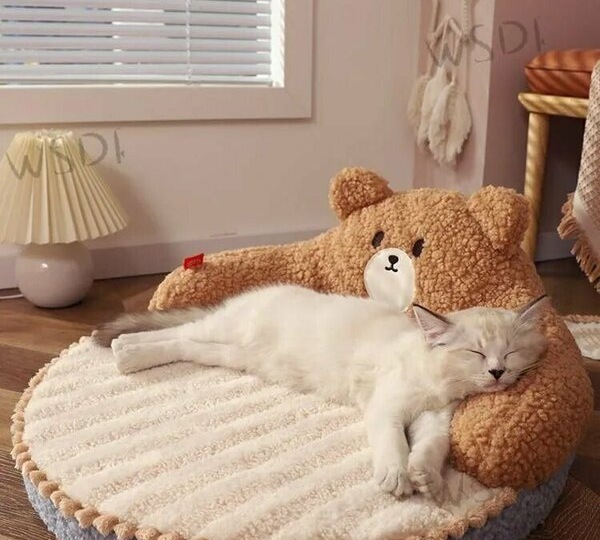 Моя кошка наконец-то перестала спать в моей подушке. Купил ей отдельную кровать