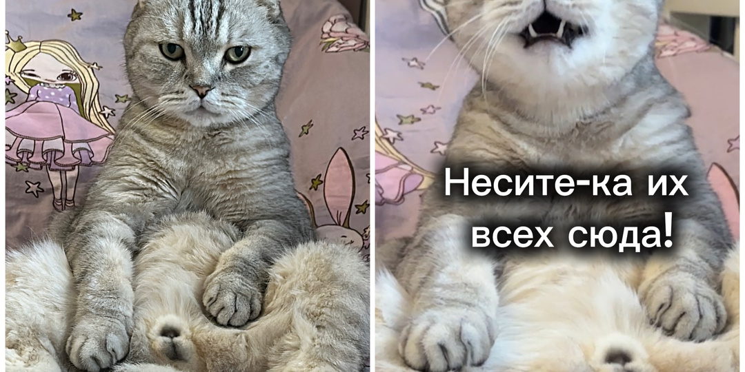 Ещё в полном расцвете сил🤗