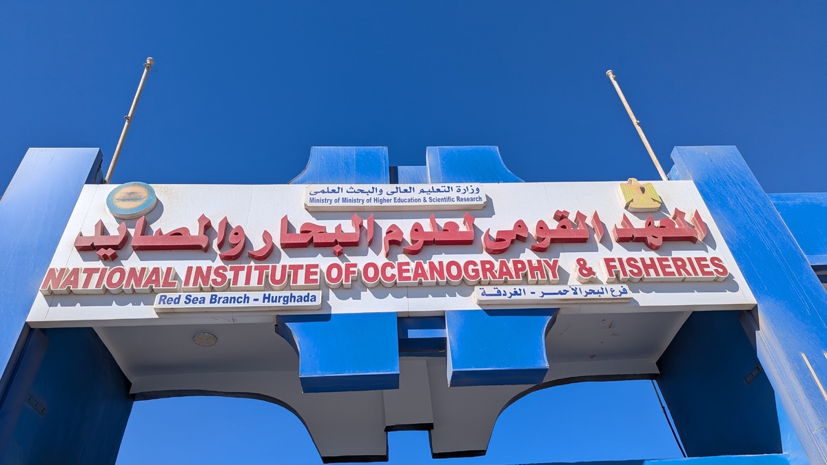 Филиал Национального института океанографии и рыболовства Египта