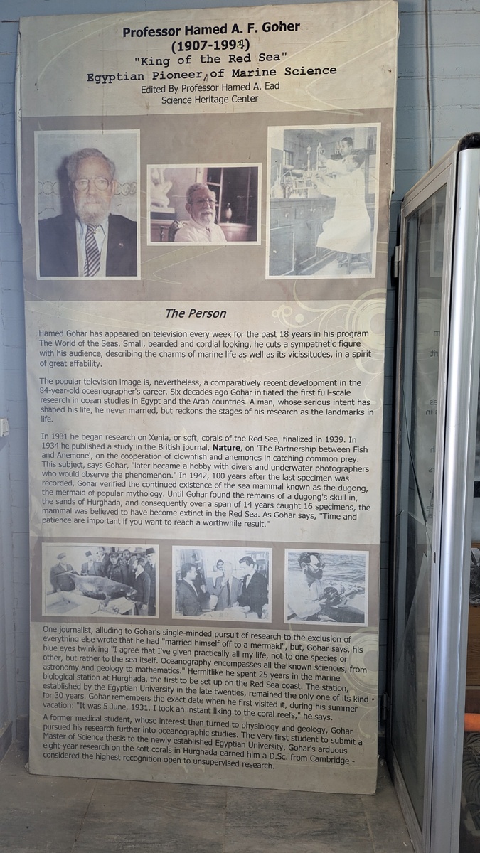 Информационный стенд о профессоре