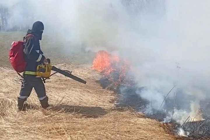 Во Владимирской области зафиксировали более 30 случаев поджога травы