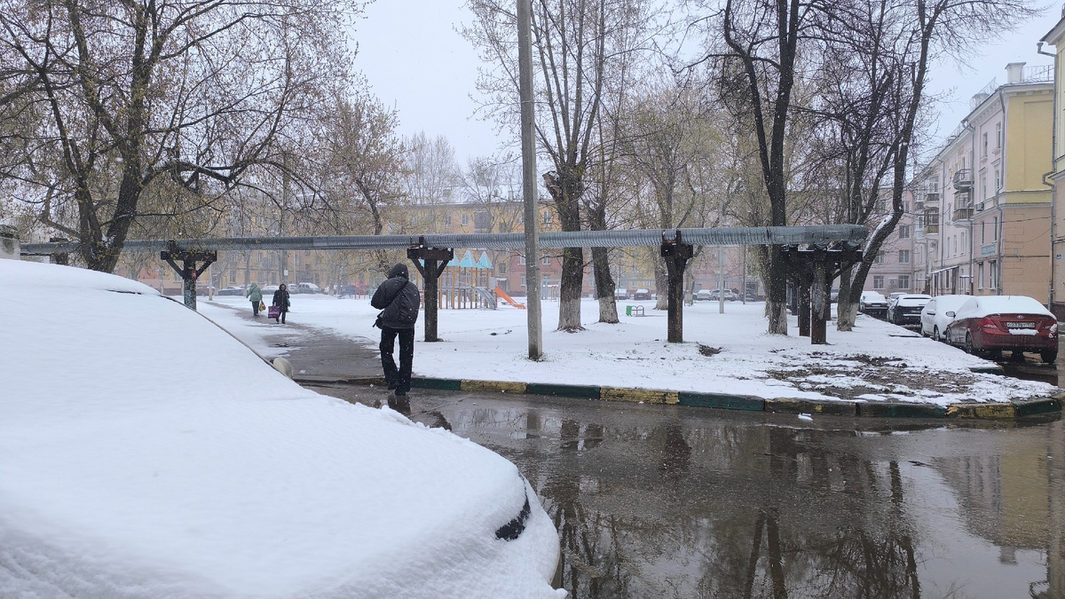 Снежку к обеду засыпало.