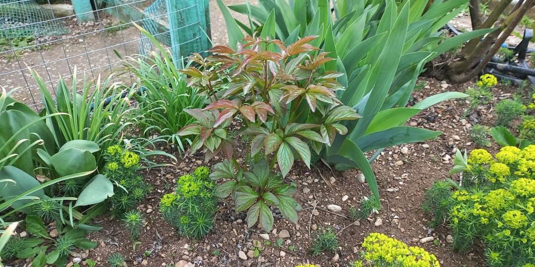 Как крымская природа проверяет нас на прочность