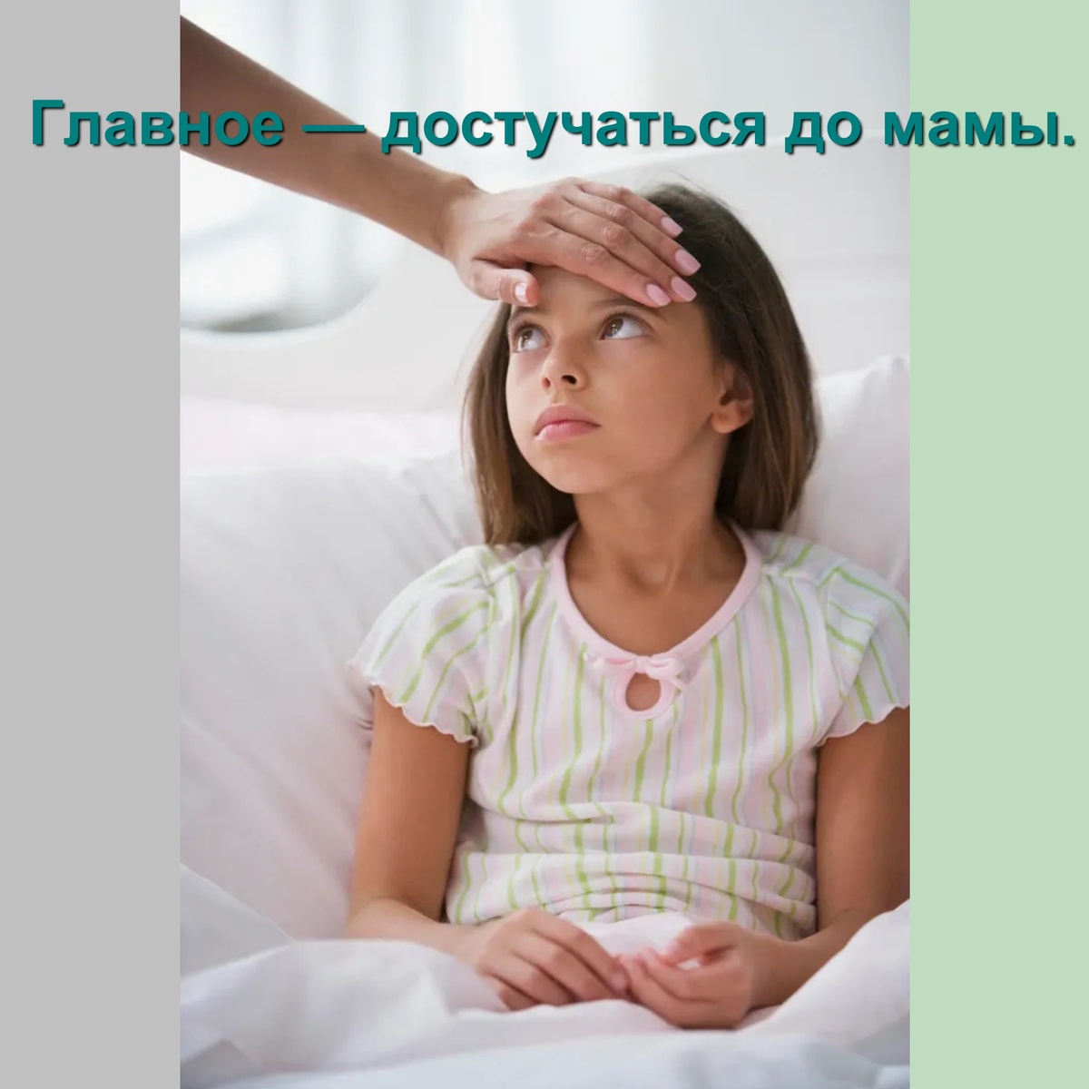 (Фото взято с просторов интернета)