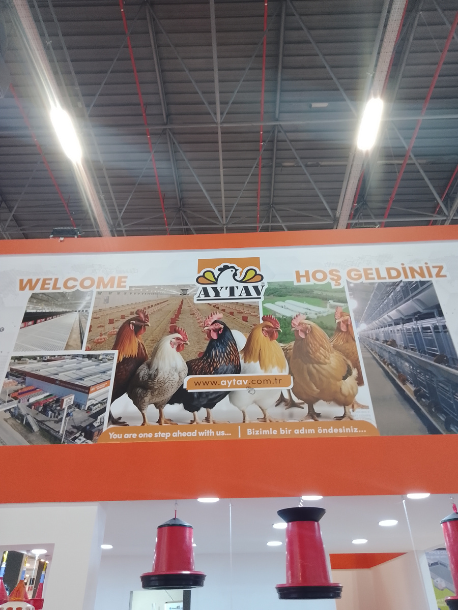 Турция производит собственное оборудование для птицеводства.