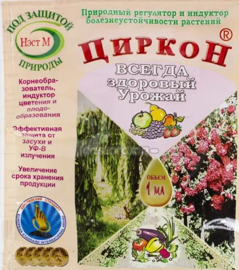 циркон