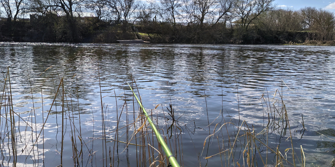 Весенняя ловля плотвы на Дону. Хоть сначала и не везло, но с пустыми руками домой не уехал