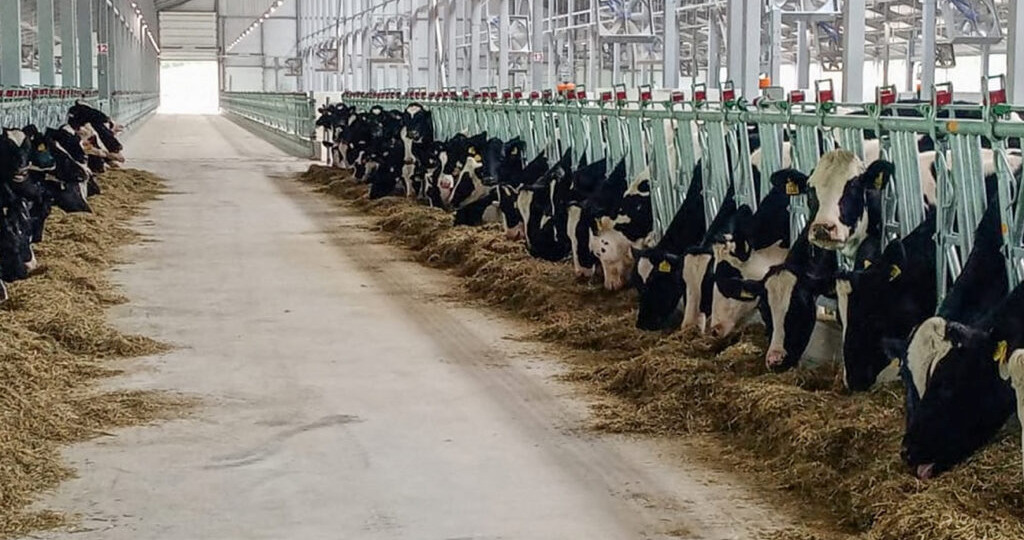 В Омской области ввели ограничения после новых случаев смертельной инфекции