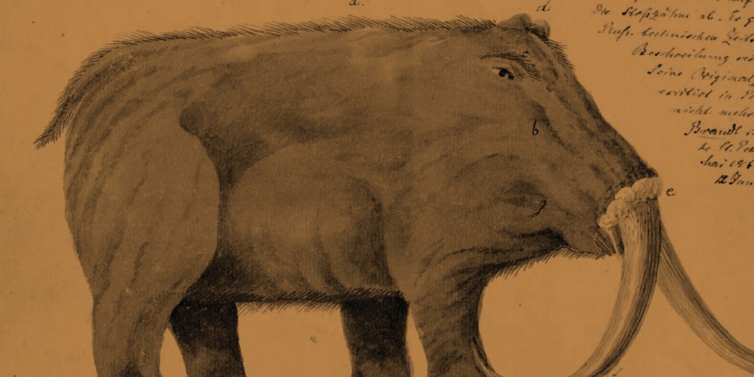 История палеоарта — глава из Paleoartist's Handbook Марка Уиттона