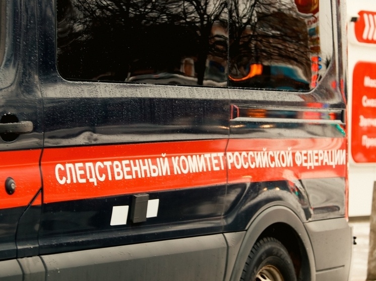   Екатерина Царева