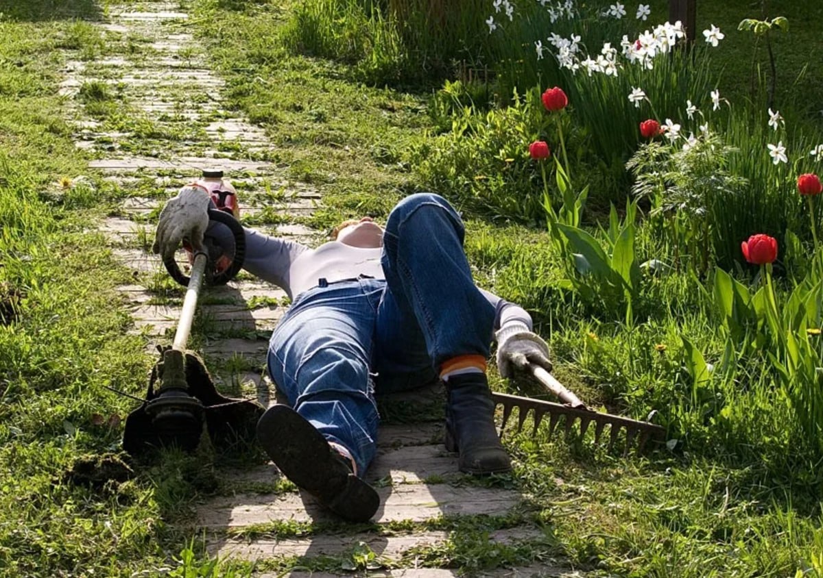 фото из открытого источника