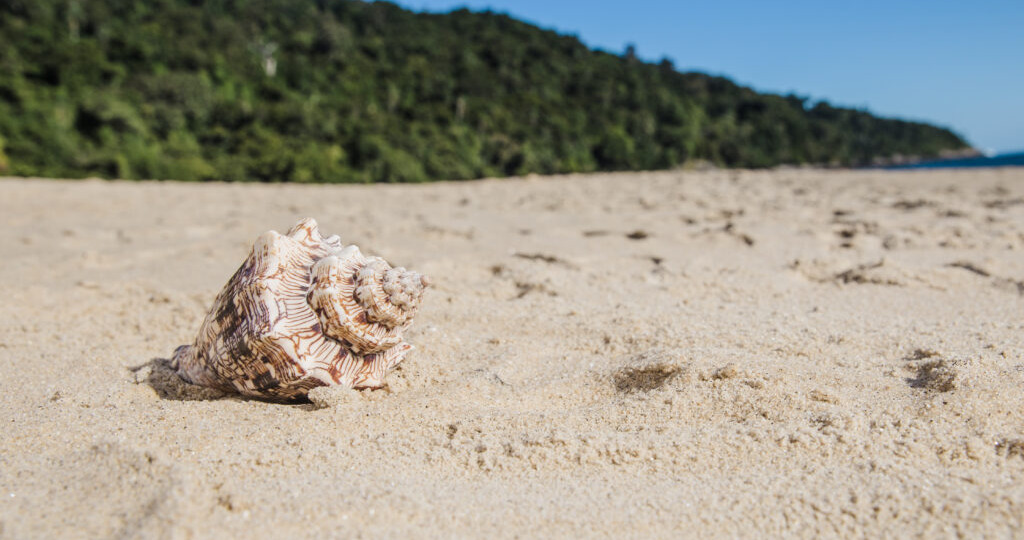 Анапа, несмотря на борьбу с мазутом, ждет 3,5 млн туристов летом