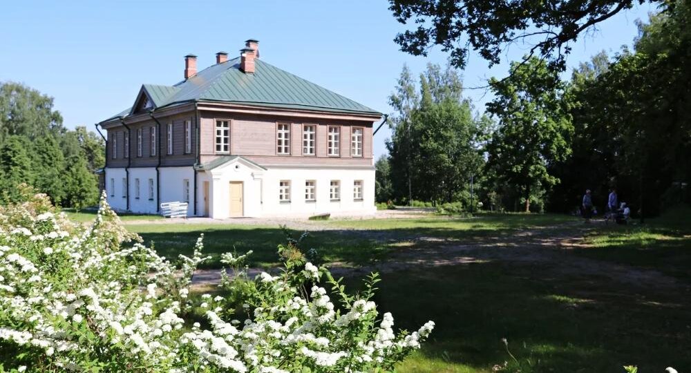 Посадили и пожалели: деревья, которые грозят проблемами рядом с домом