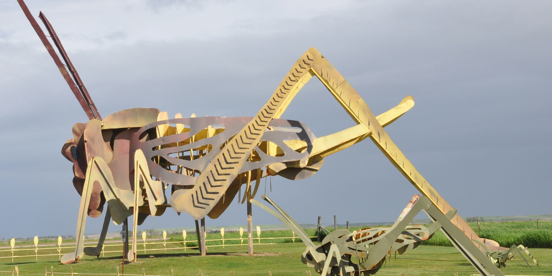 20 забавных скульптур насекомых