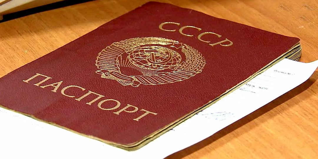 Я не могу представить, за какими документами блогер Пучков в очереди стоял в СССР.