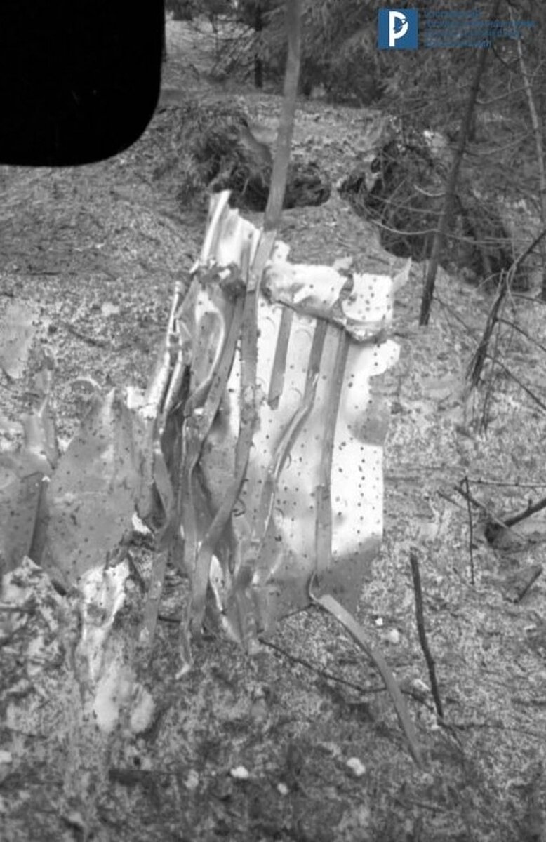 Рис.2 Найденные обломки с места трагедии.