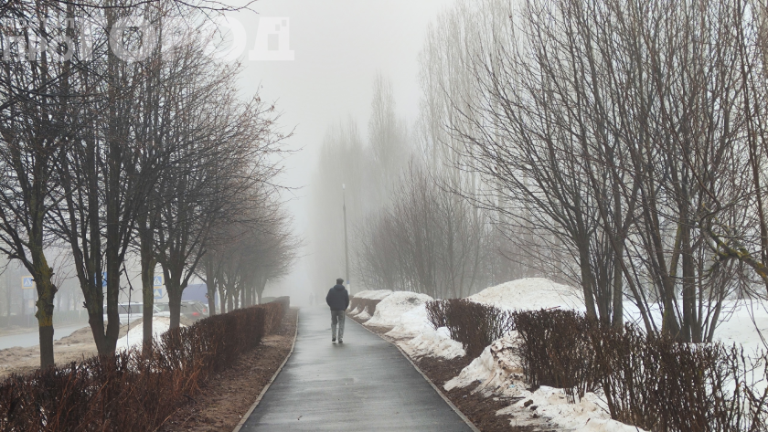    Фото: ПроГород