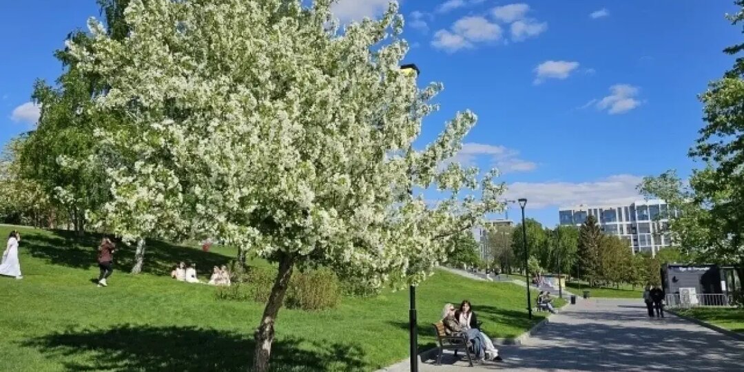 В Новосибирск резко придёт жара выше +25 градусов