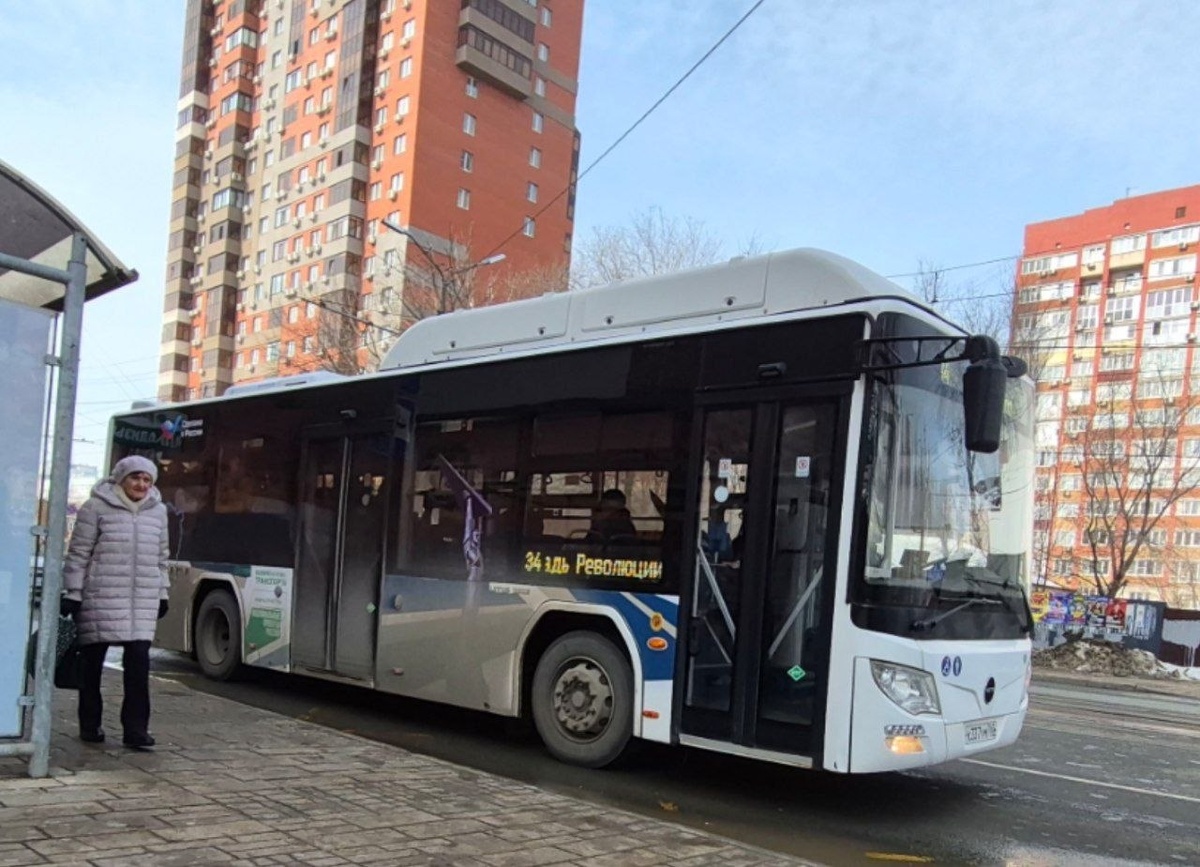 Самарский автобус. Фото: телеграм-канал "Транспортный дозор Самарской области"