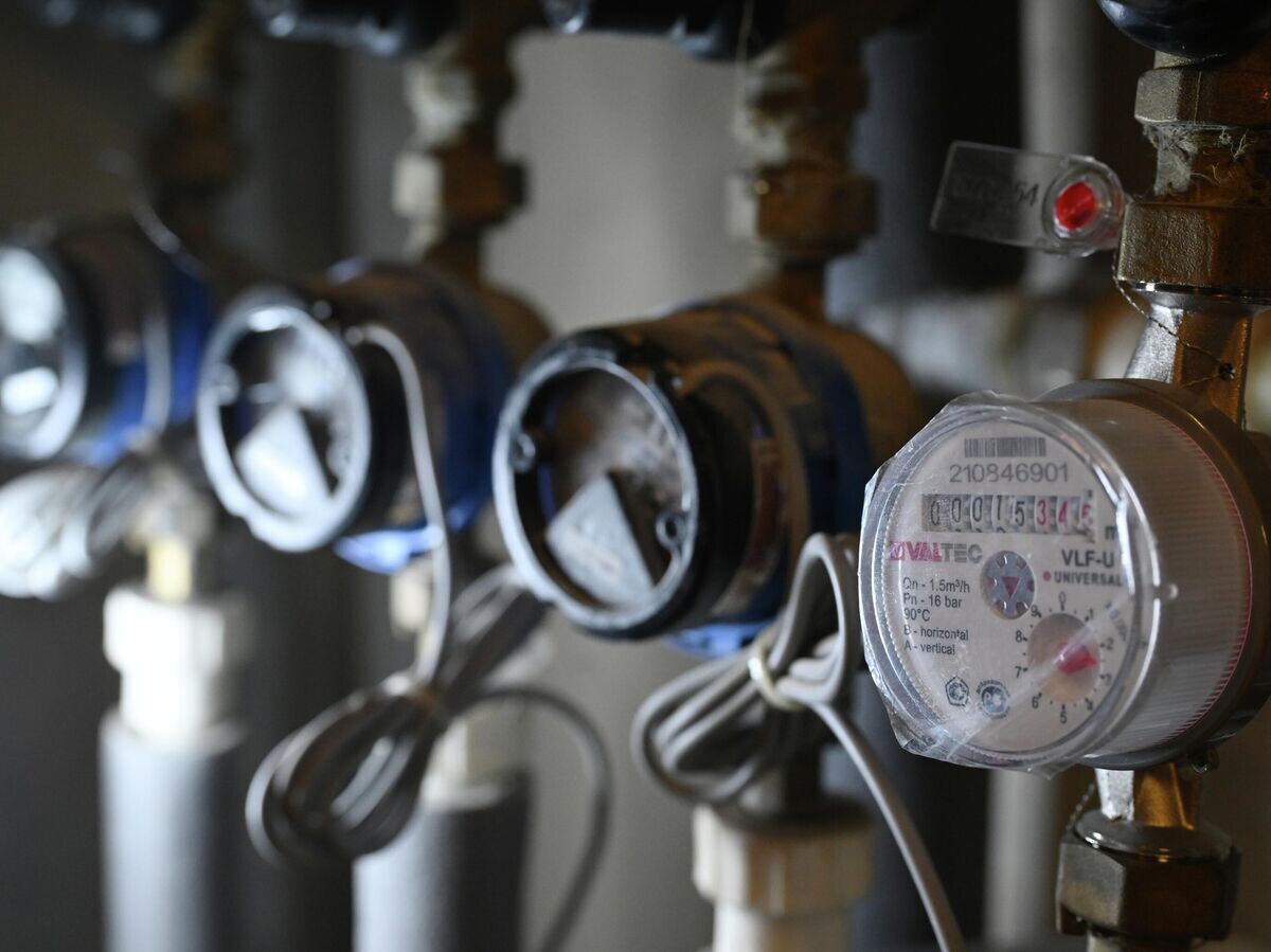    Счетчики© РИА Новости . Кирилл Каллиников