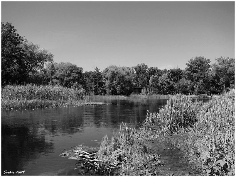 Взято из открытых источников интернета Яндекс.