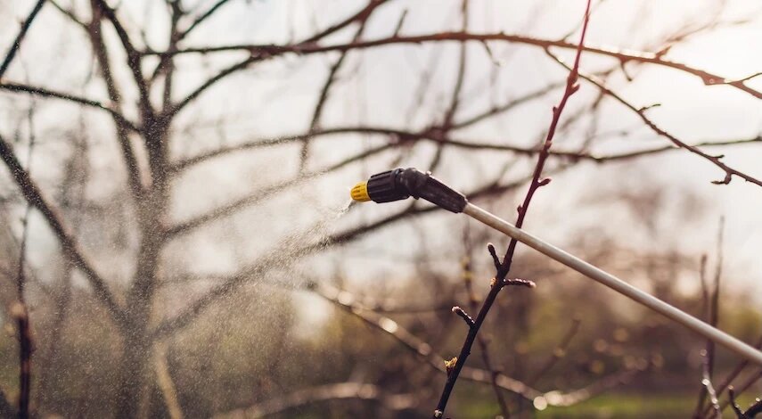 фото 123RF/mariiaboiko