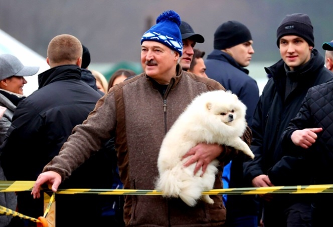 Истоник: Яндекс картинки. 