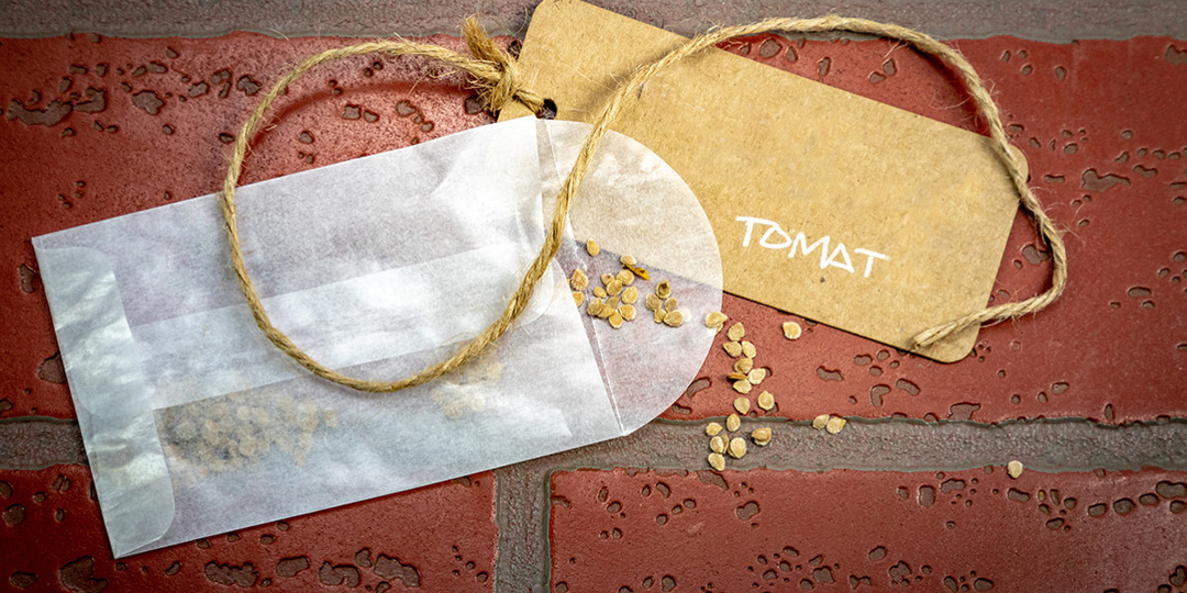 ГДЕ ЛУЧШЕ ХРАНИТЬ СЕМЕНА?