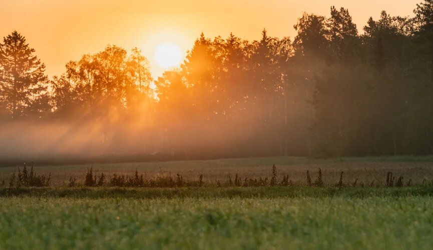 Приметы и поверья на 23 апреля: что категорически нельзя делать в этот день?