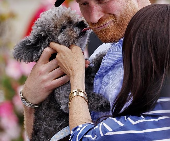 Даниэла Эльзер: Один момент из тура Меган Маркл по Австралии вызвал панику во дворце
