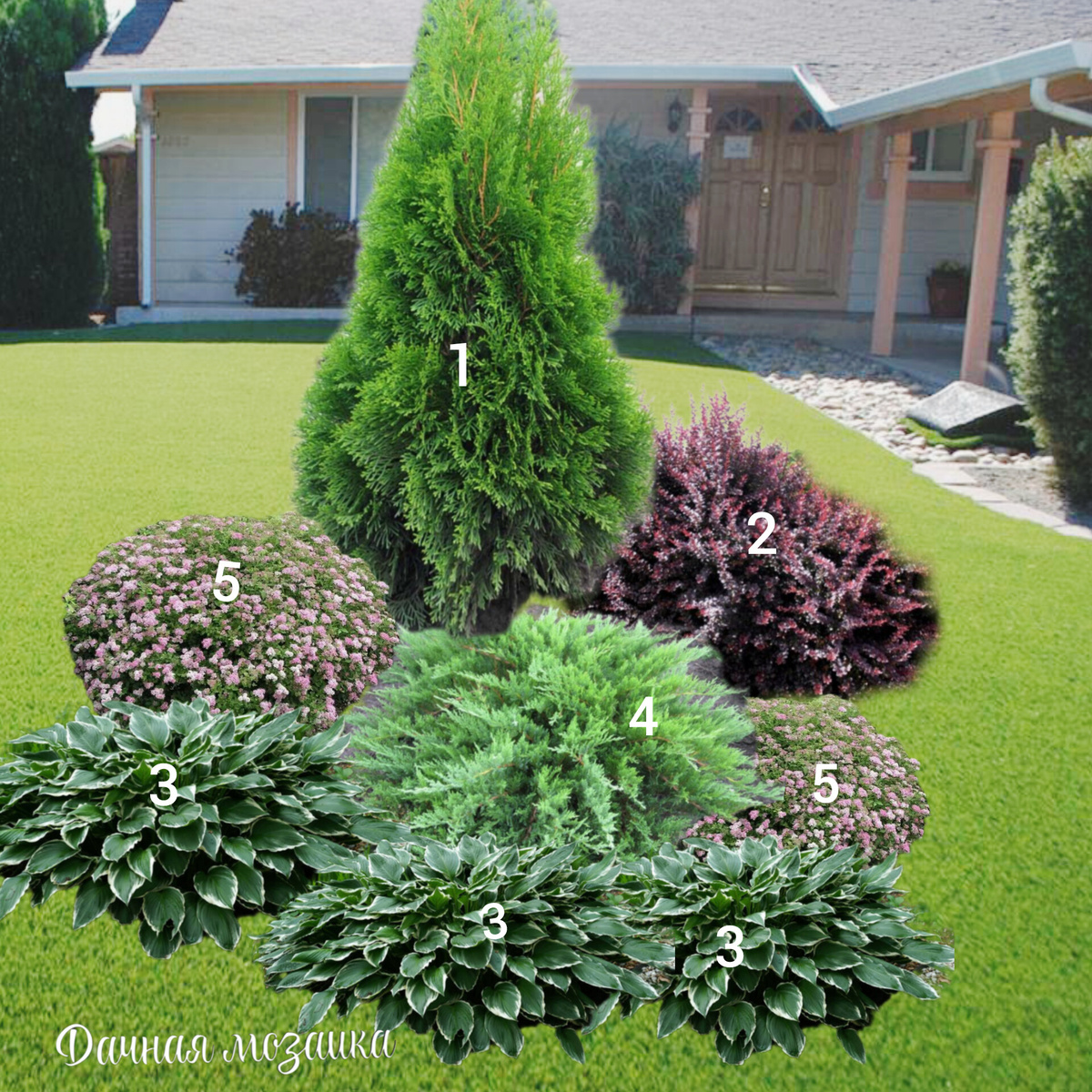 Пример посадки 