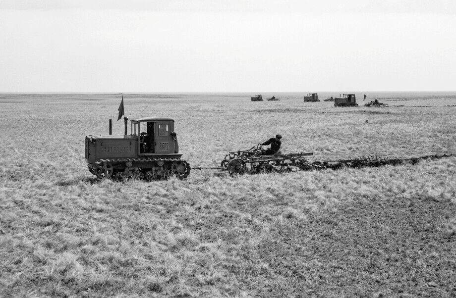 Фото: Терещенко Ф./ТАСС