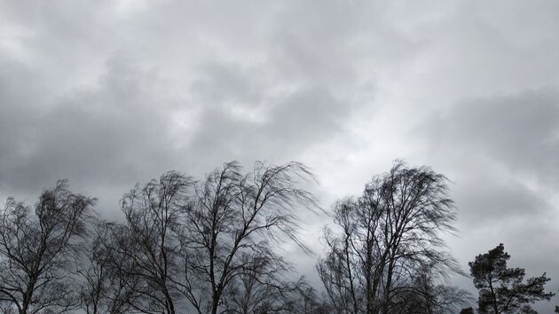 Европейская Россия не может избавиться от холода