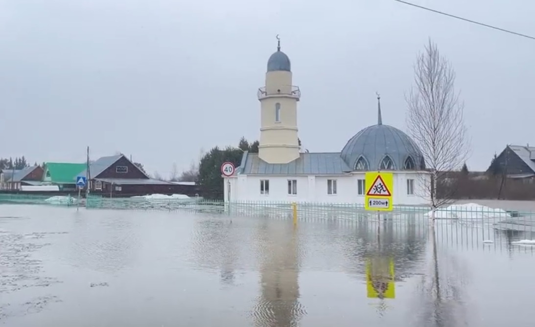 Деревня Черная Речка Томского района. 2026 г.
Фото: ГГФ ТГУ