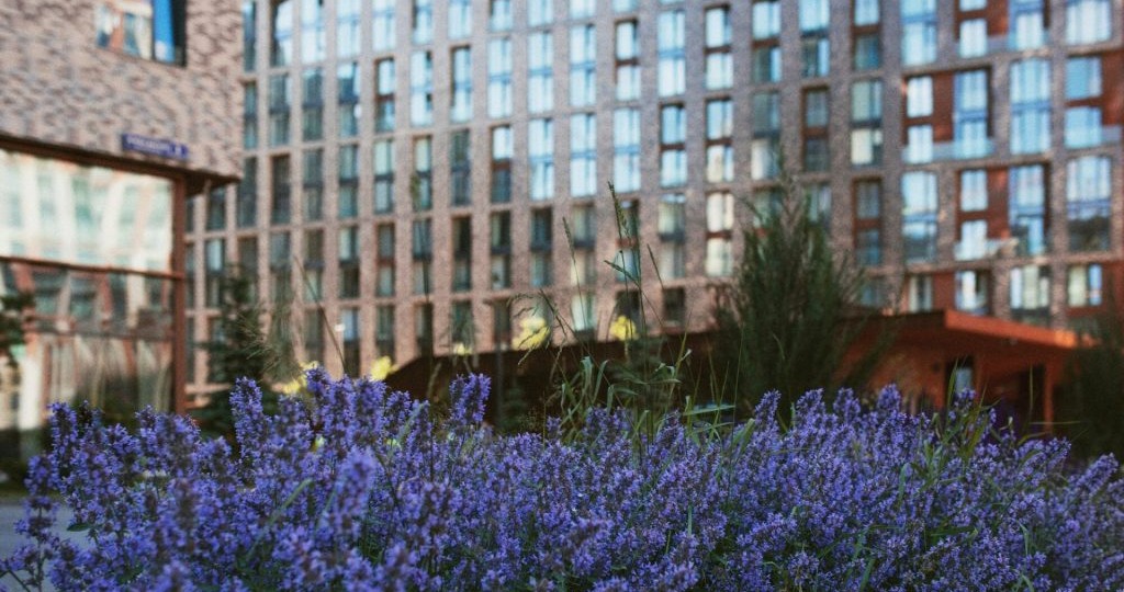 Погода в Ростове 23 апреля: облачно, тепло и с дождём к вечеру