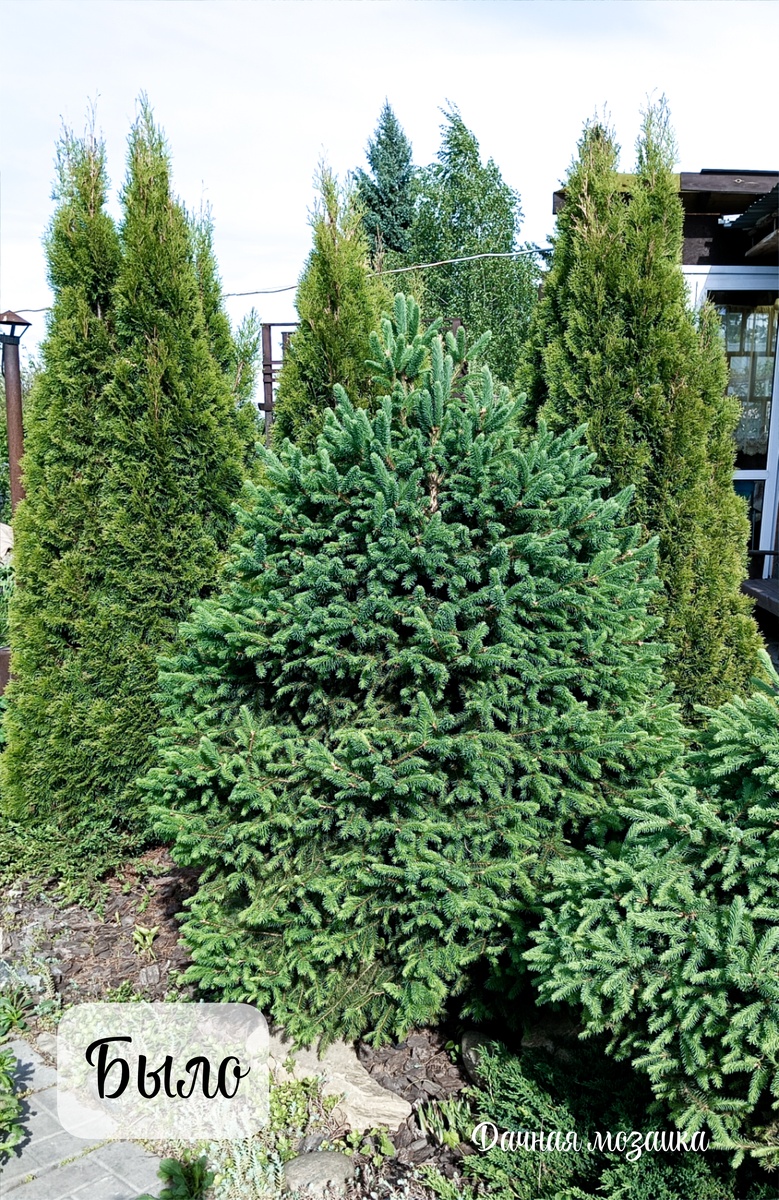 Вот такая елочка у меня была