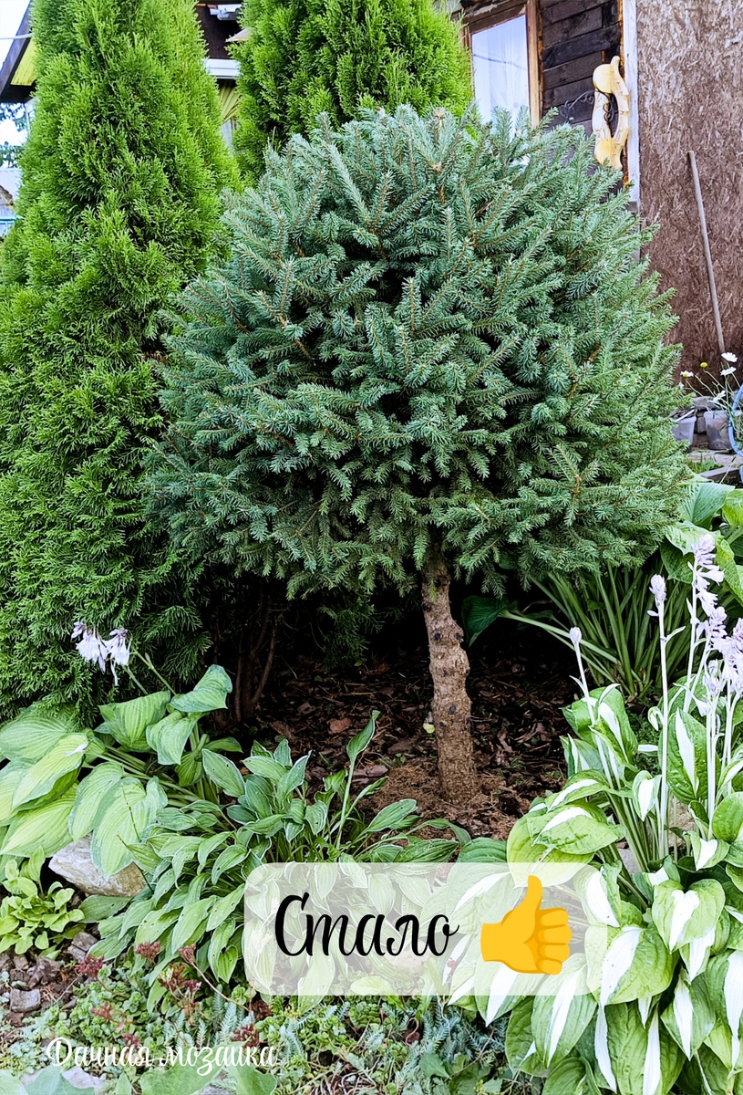 Вот так она мне нравится больше 