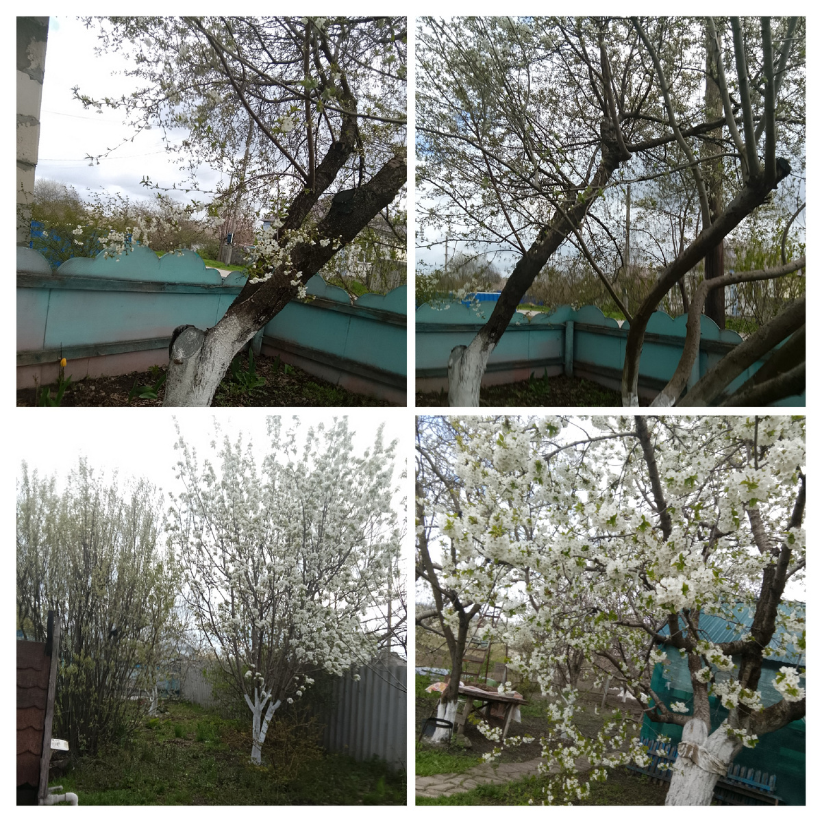 Красиво!