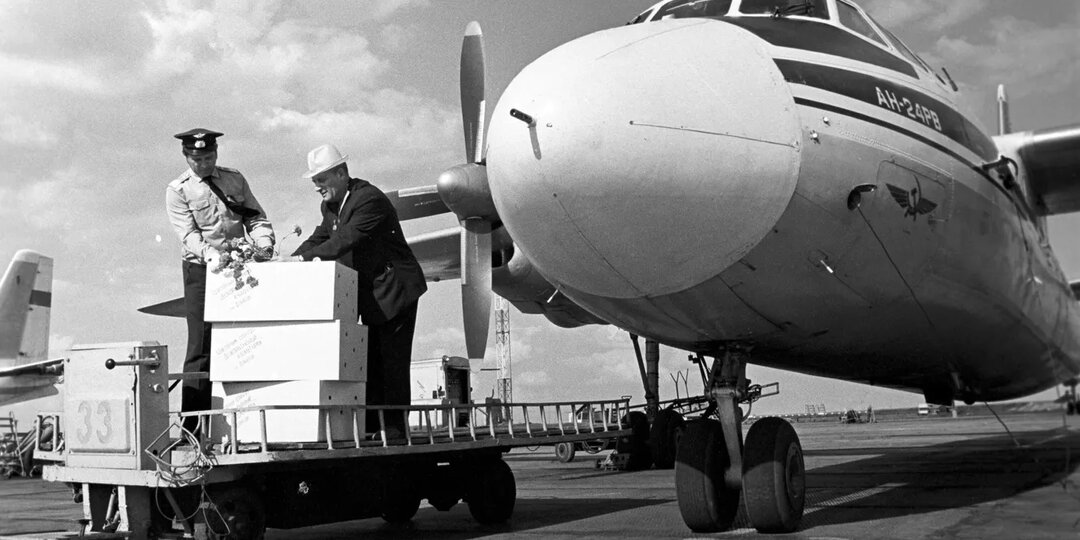 История первого угона самолёта в СССР: расправа над стюардессой и возмездие в США через 30 лет